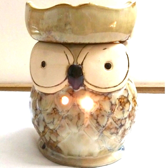 Intertek Ceramic Wise Old Owl Electric Tart Warmer EUC - Picture 1 of 6